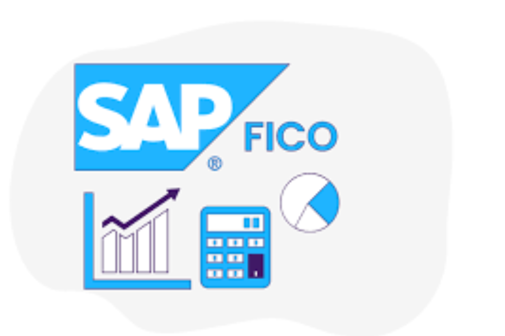 Best Sap fico Training Institute In Hyderabad